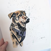 Image 3 of Pet Portrait