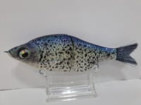 Image 2 of Lure Build- Carpathian #10