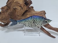 Image 1 of Lure Build- Carpathian #10