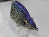 Image 3 of Lure Build- Carpathian #10