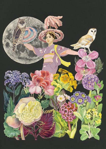 Image of The night gardener. limited edition collage print