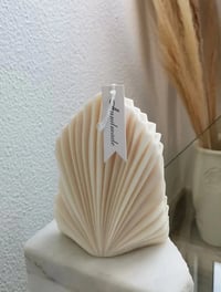 Image 1 of A Vieira