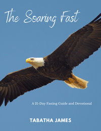 Image 1 of The Soaring Fast