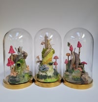 Image 4 of World in a Cloche, August Workshop