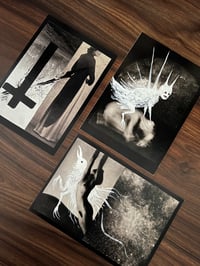 Image 3 of Shadow-Me