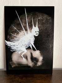 Image 1 of Shadow-Me