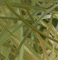 Image 4 of Fractures - Large Oil Painting