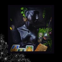 Image 3 of ☽ Vitis Mariscum ☾