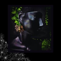 Image 5 of ☽ Vitis Mariscum ☾