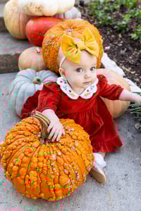 Image 1 of 2025 Fall minis at Flippen Park $200+ TAX (non refundable retainer)