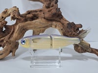 Image 1 of Jordan Fish Tales- Mobbin Mullet colorway #9