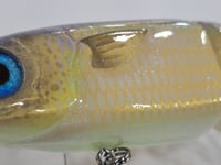 Image 5 of Jordan Fish Tales- Mobbin Mullet colorway # 39