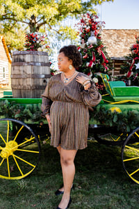 Image 11 of 2025 Holiday Mini‑Sessions in Downtown Grapevine - (non refundable retainer)