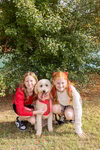 Image 24 of 2025 Bonnie Wenk Park mini sessions -    (non refundable retainer)