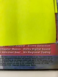 Image 4 of Sluts Illustrated Issue 17 Adults Only DVD 2004 Lucky Media Young and Dumb