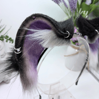 Image 3 of Ace Raccoon Ears!