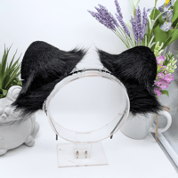 Image 4 of Ace Raccoon Ears!