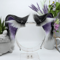 Image 1 of Ace Raccoon Ears!