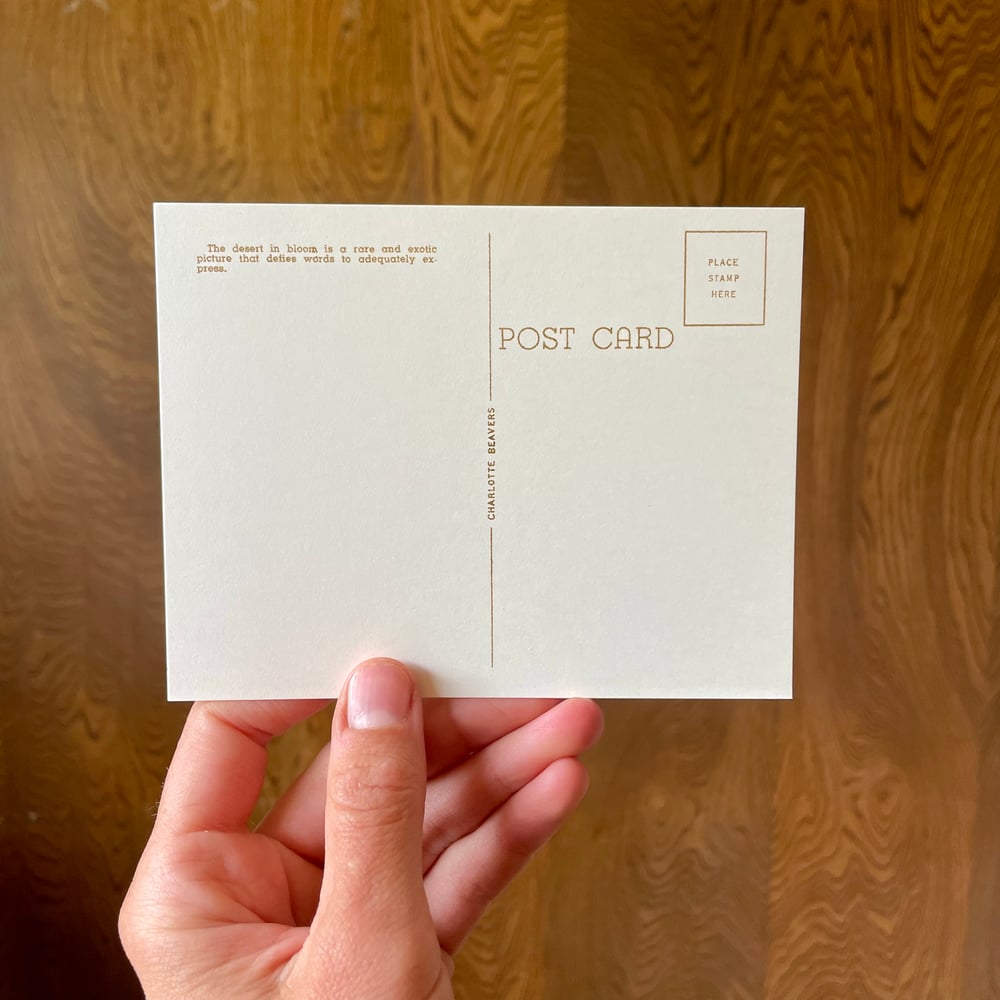 Image of Postcard Set