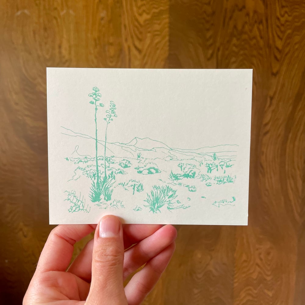 Image of Postcard Set