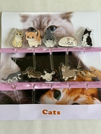 Cats Acrylic Picks 