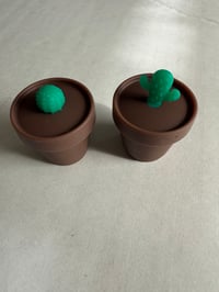 Image 5 of Succulent  or acorn Silicone Container 