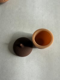 Image 7 of Succulent  or acorn Silicone Container 