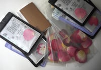 Image 5 of Handcrafted - Pressed Flower Drying Cards