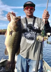 Image 4 of Silly Sally (Eastern Newt)