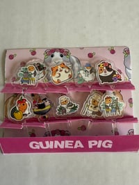 Guinea Pig Acrylic Food Picks 