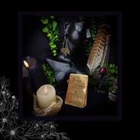 Image 2 of ☽ Humulus Mariscum ☾