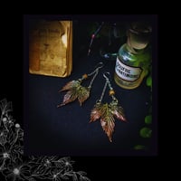 Image 5 of ☽ Humulus Mariscum ☾