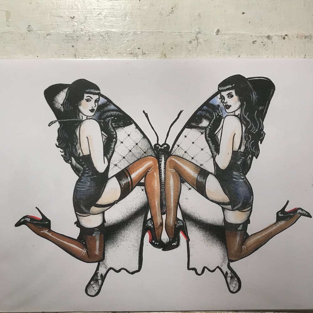 Image of Butterfly 26