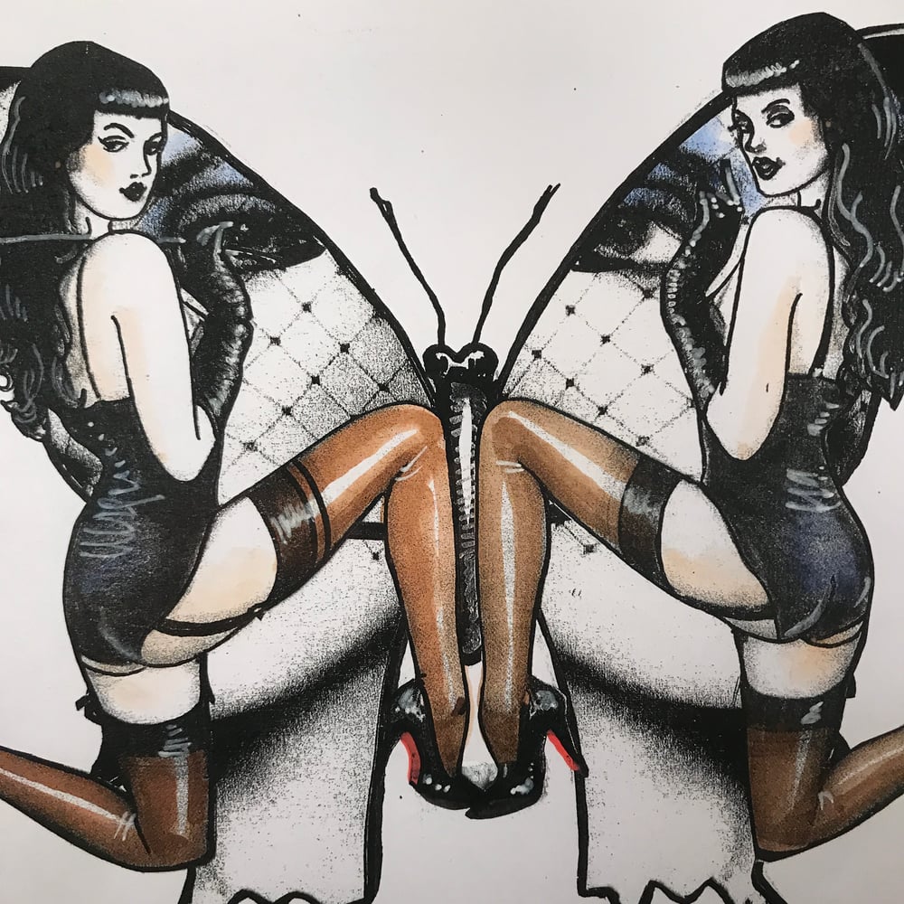 Image of Butterfly 26