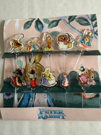Petter Rabbit Acrylic Food Picks 