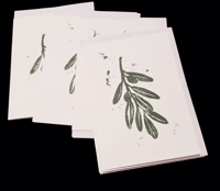 Image 1 of The Olive Branch