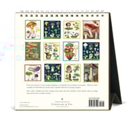 Image 3 of Cavallini & Co. Foraging 2026 Easel Desk Calendar