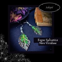 Image 1 of ☽ Fagus Nero Viridium ☾