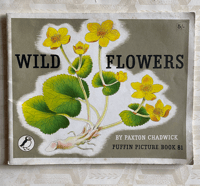 Image 1 of Wild Flowers Puffin Picture Book