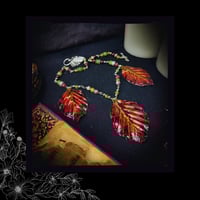 Image 4 of ☽ Fagus Purpurea Purpura ☾