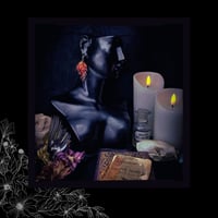 Image 2 of ☽ Fagus Quercifolia Ignis ☾