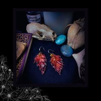 Image 3 of ☽ Fagus Quercifolia Ignis ☾