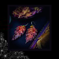 Image 5 of ☽ Fagus Quercifolia Ignis ☾