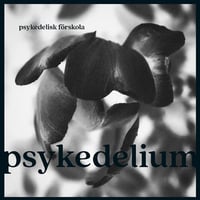 Psykedelisk Förskola - Psykedelium LP