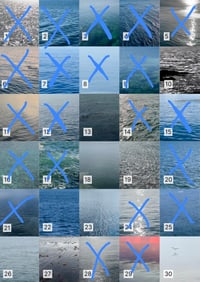 Image 5 of An Index of the Colour of Water