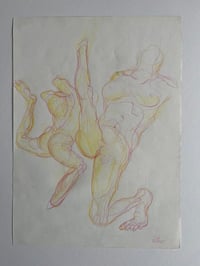 Image 1 of Les ballets c de la b 