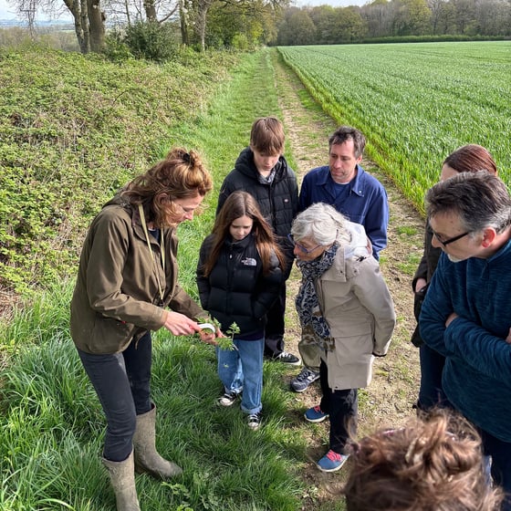 Image of FORAGING WALKS AT BRUERN FARMS