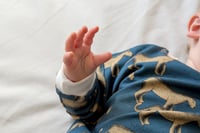 Image 6 of SWEAT CAMILLE félins | Coton biologique