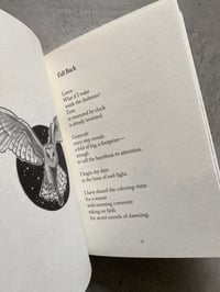 Image 2 of Tell the Turning by Tara K. Shepersky & Lucy Bellwood