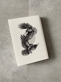 Image 5 of Tell the Turning by Tara K. Shepersky & Lucy Bellwood